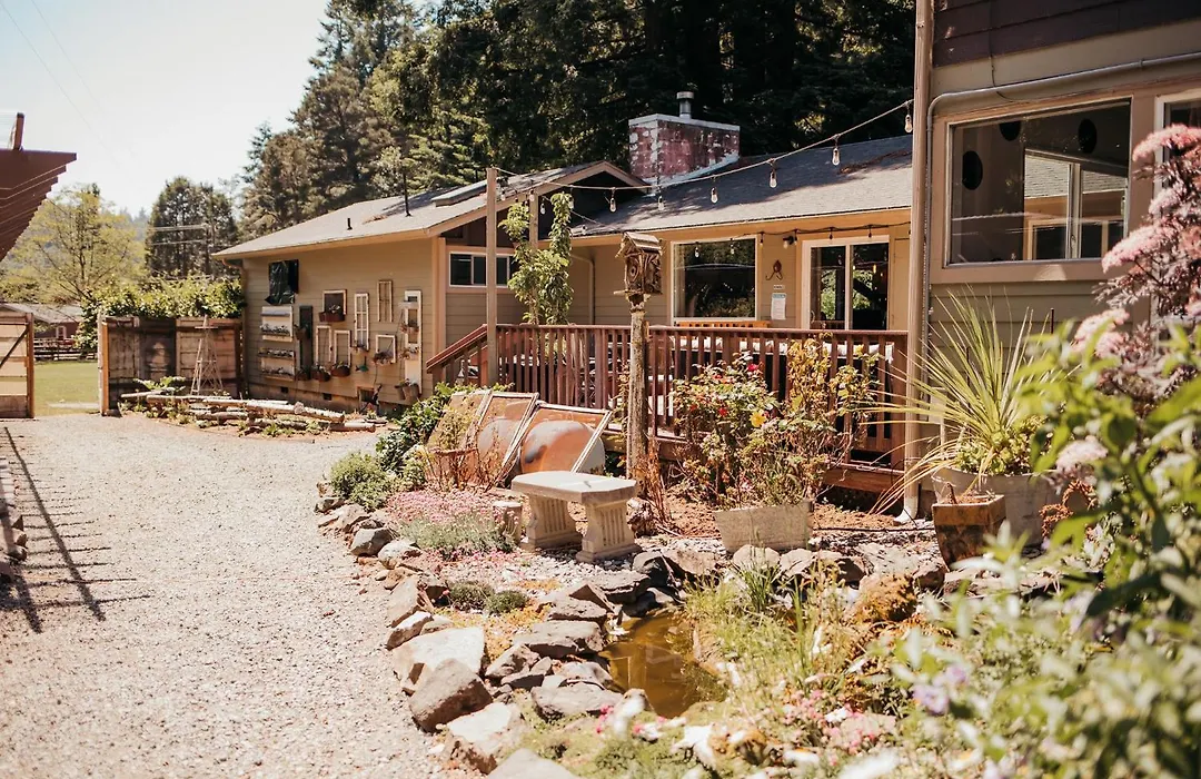Taylor Creek Lodge-1
