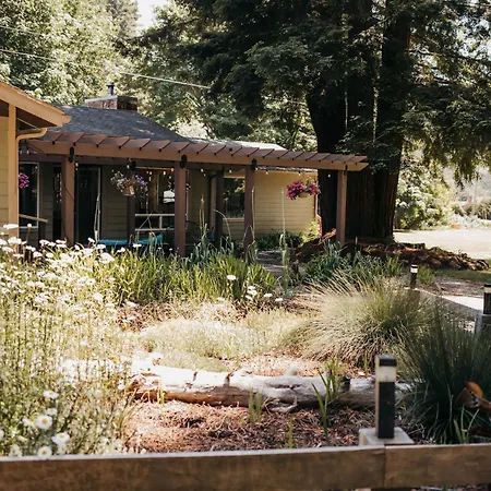Taylor Creek Lodge-2